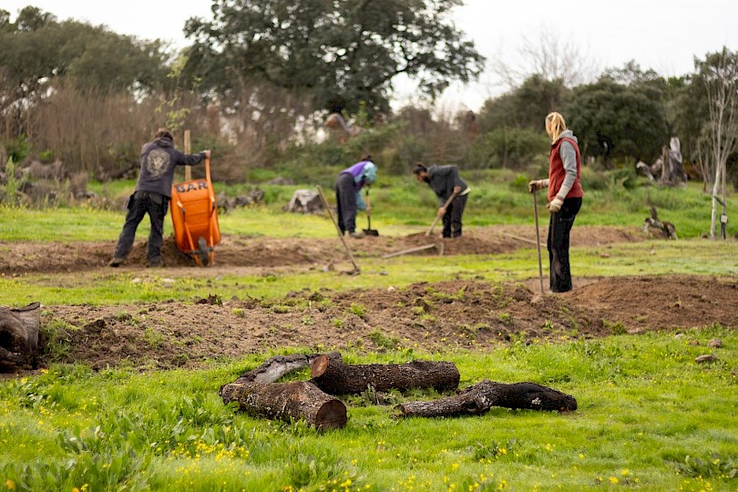 Reforestation works during winter at Boomland